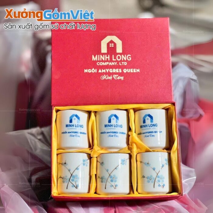 ly-su-men-kem-hoa-tiet-dao-xanh-khong-quai-kem-dia-lot-3