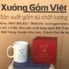 ly-su-in-logo-24-2-45